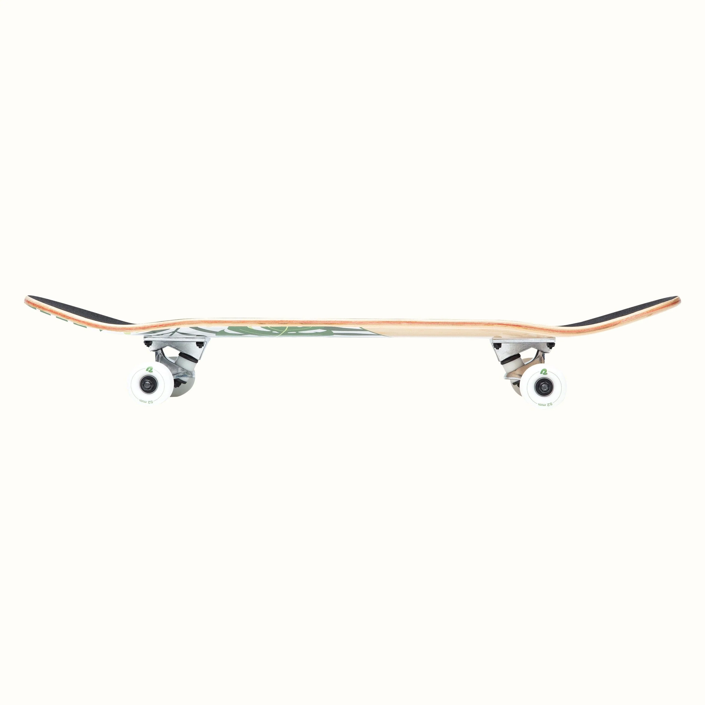 Alameda 7.5"/8" Complete Skateboard - Image 3