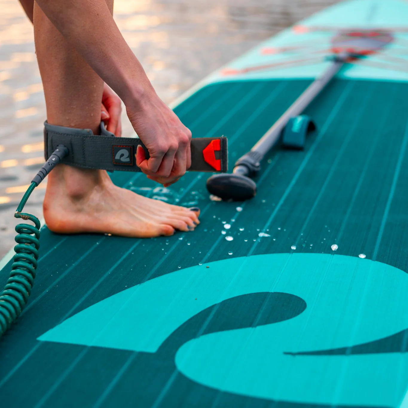Weekender 10' Paddle Board Safety Leash - Image 26